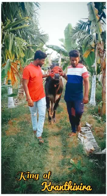 @ಚನ್ನಳ್ಳಿ ಗಣೇಶ್... 🤫