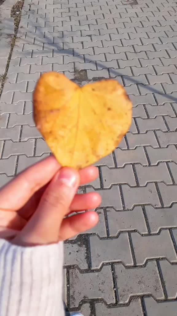 @tuğba6105