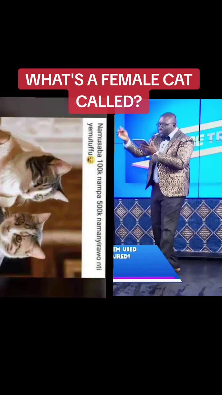 @KBSMEDIA1