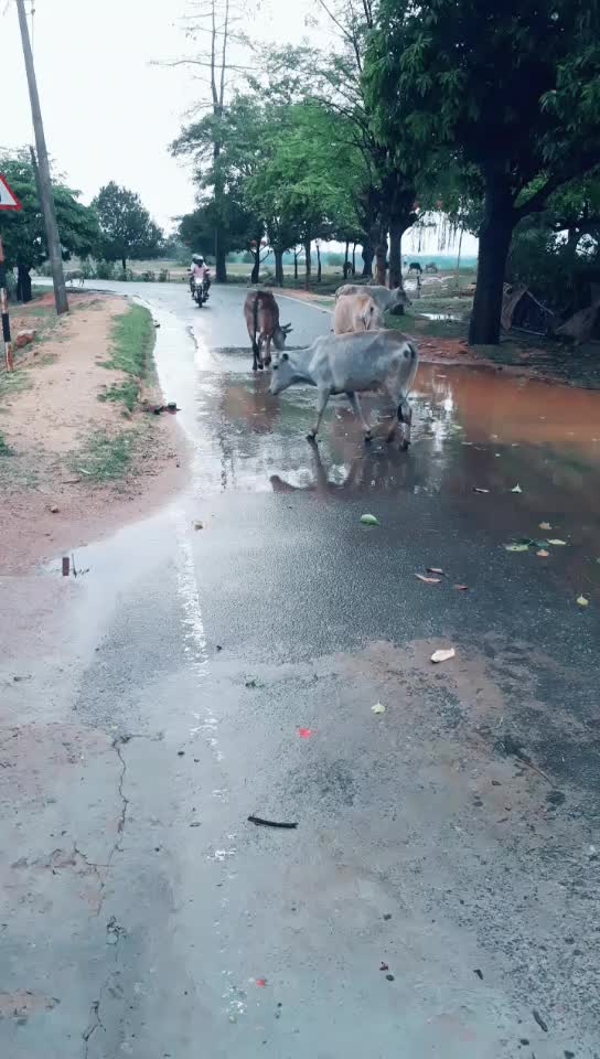 @Kaliam Ansari
