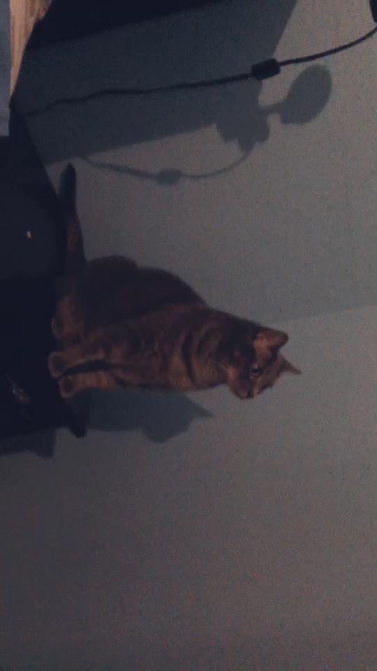 @_ᕼI_ᕼI_
