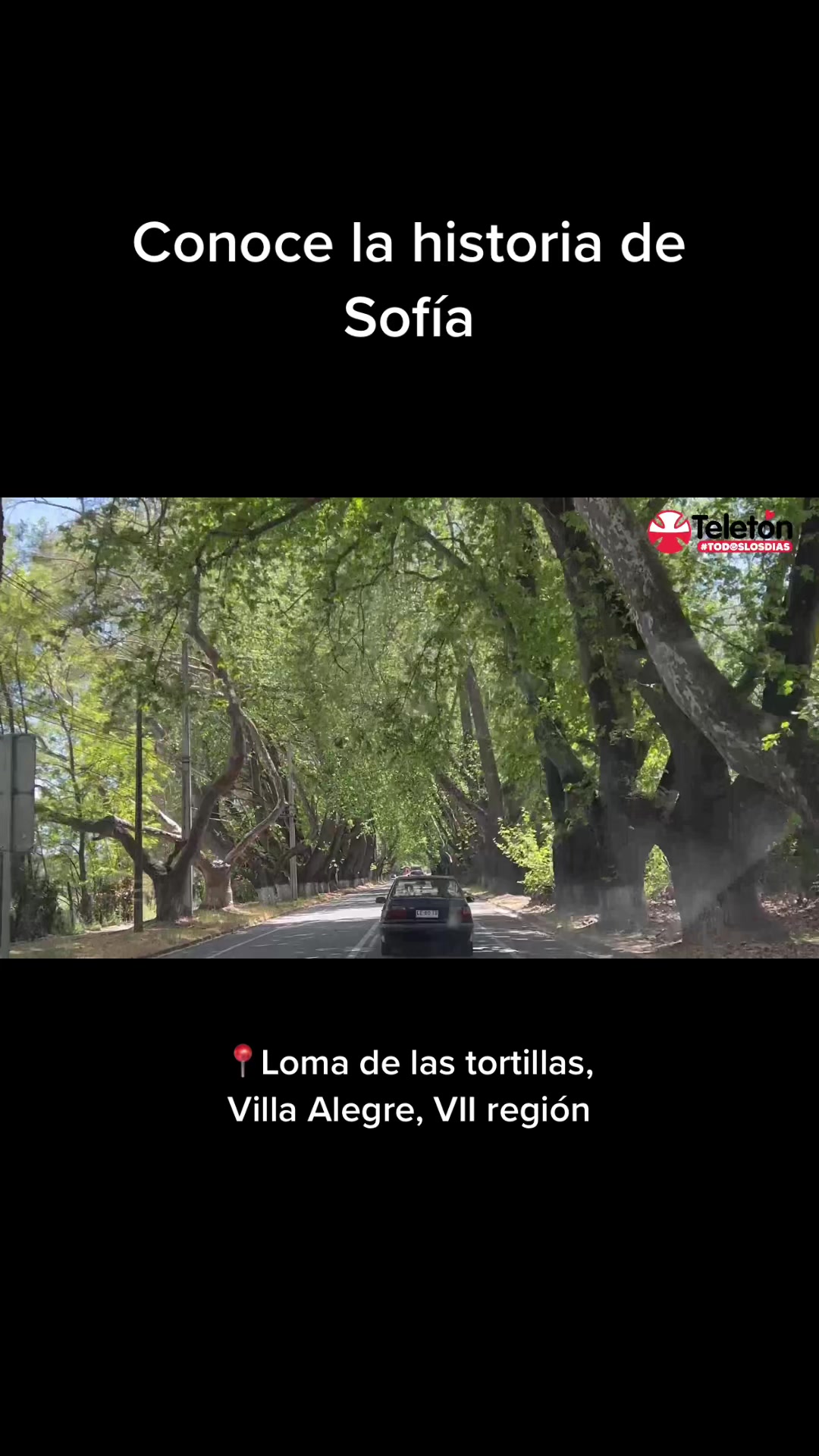@Telet&oacute;n.villaalegre