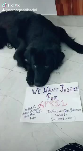 @Navneet Kaur