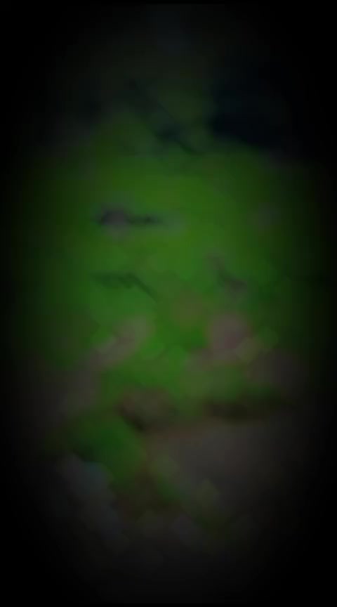 @Ham Zzaa XarDar