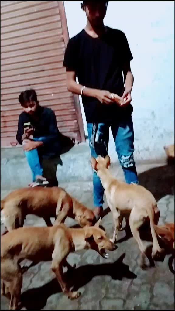 @Ritik Choudhary