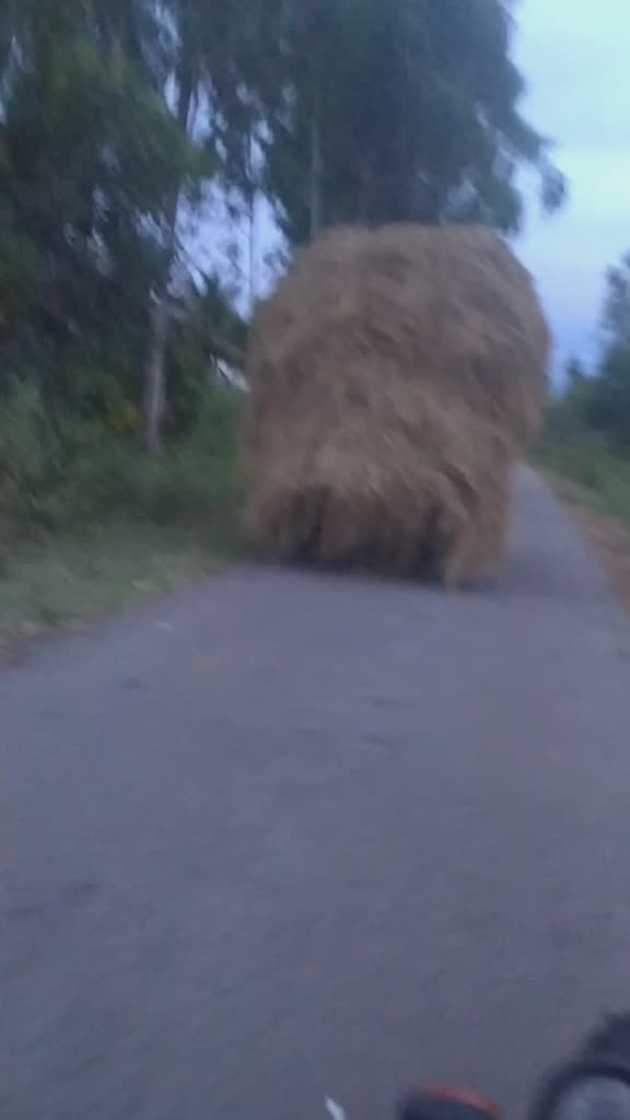 @sathish n s