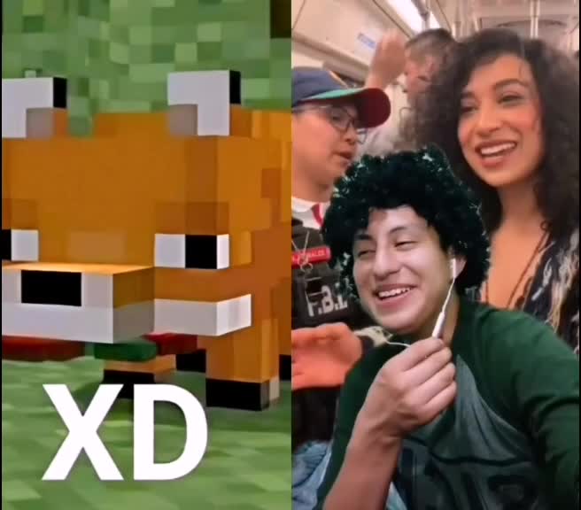 @Zorrito xd 🦊