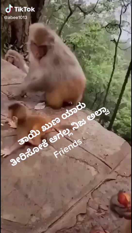 @Anu baby