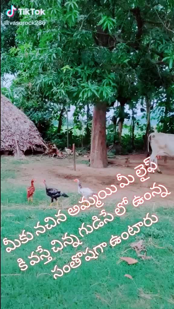 @RAMU YADAV