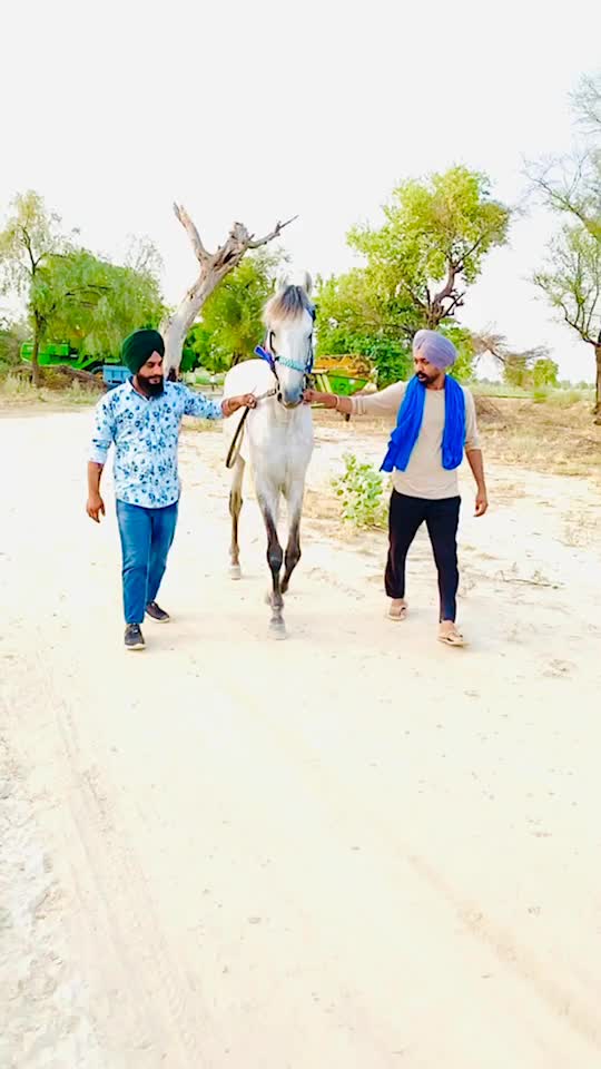 @Bhullar