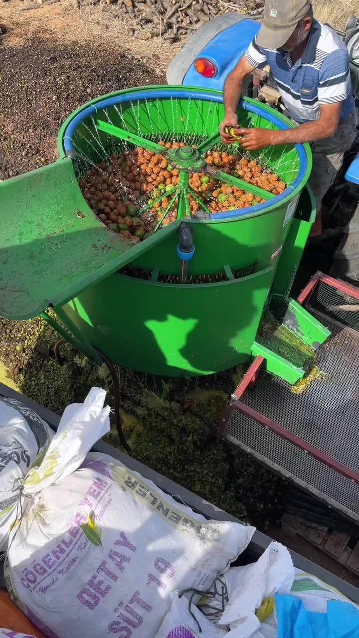 @Şahin Gömük