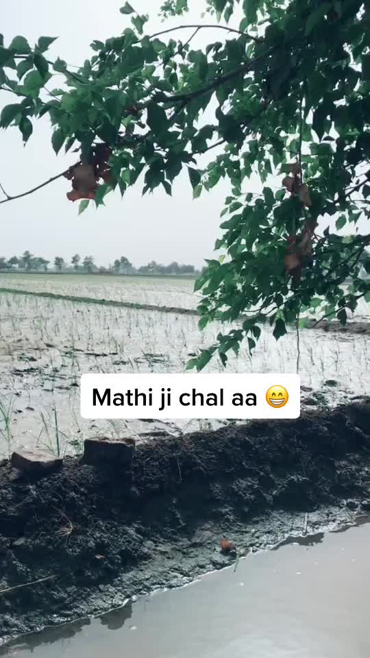 @Gopi sra