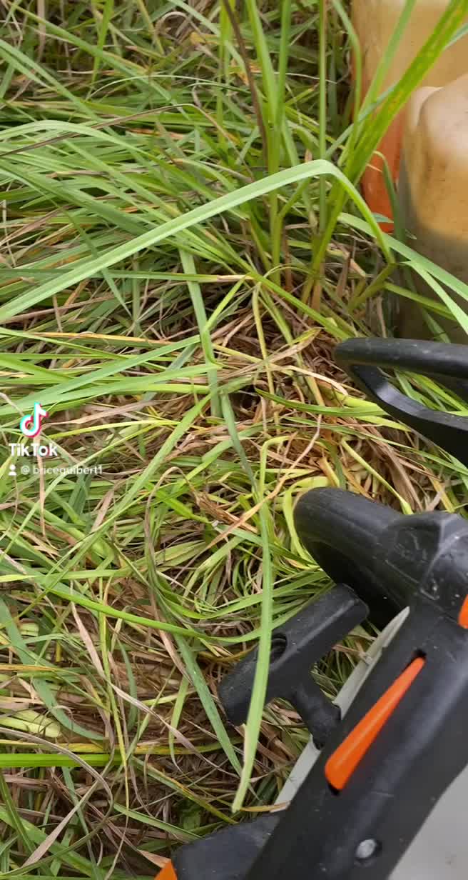 @Nashouille_tackle
