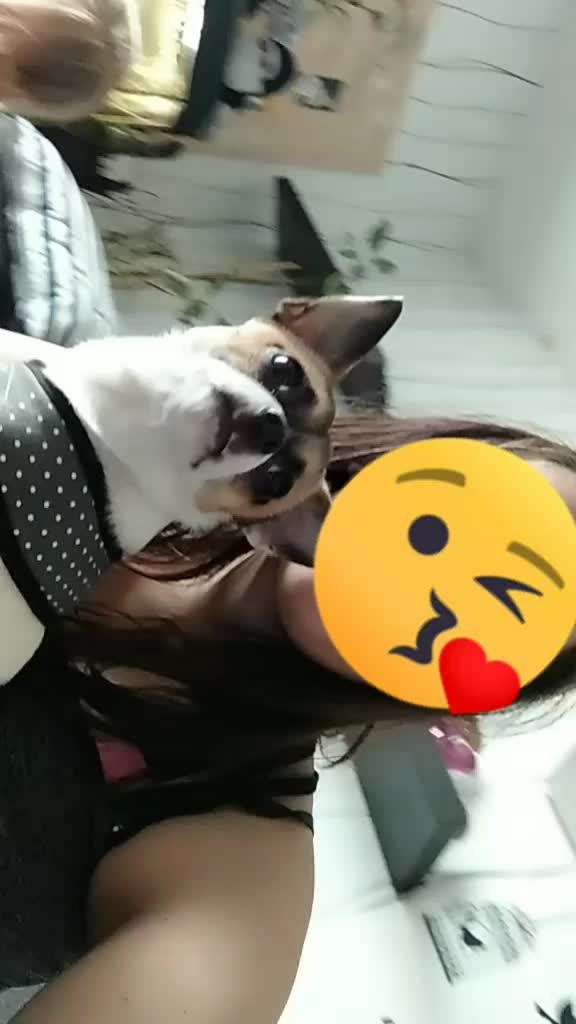 @vdsis_lea.