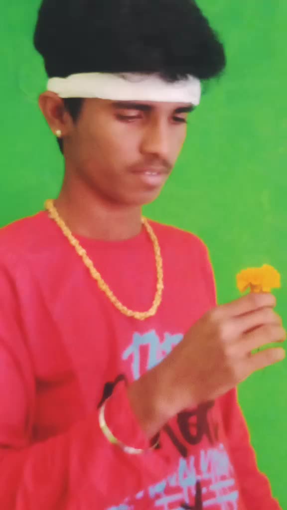@user86253169295