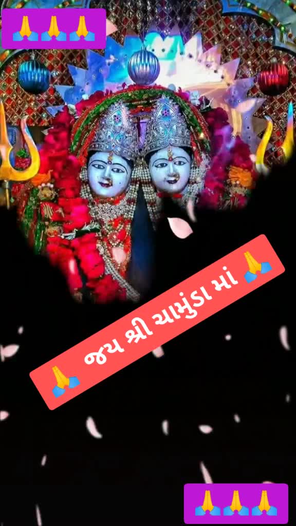 @એમ આર.ચામુડા વાળા.
