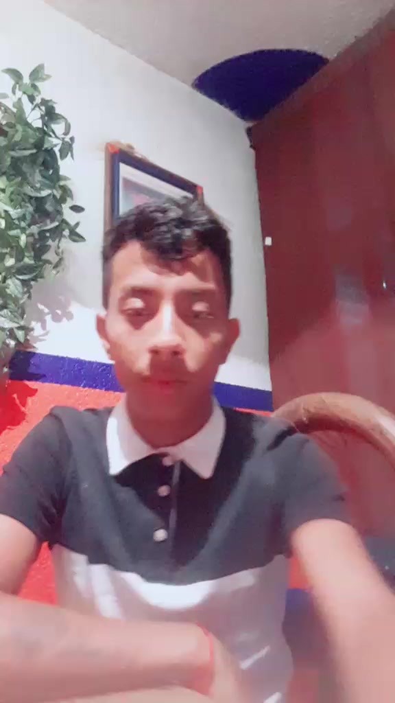 @chematellez52