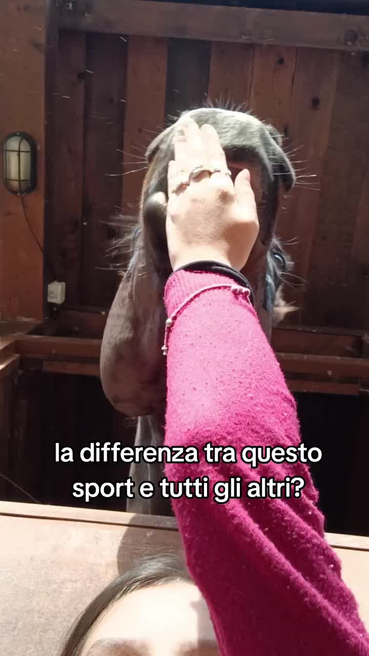@giuliaaa