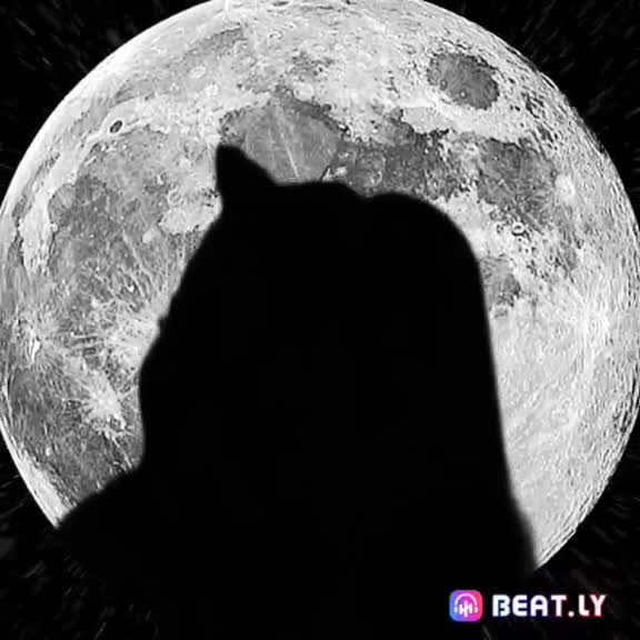 @Miu uwu