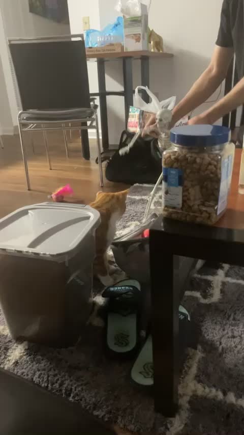 @Stankysalad