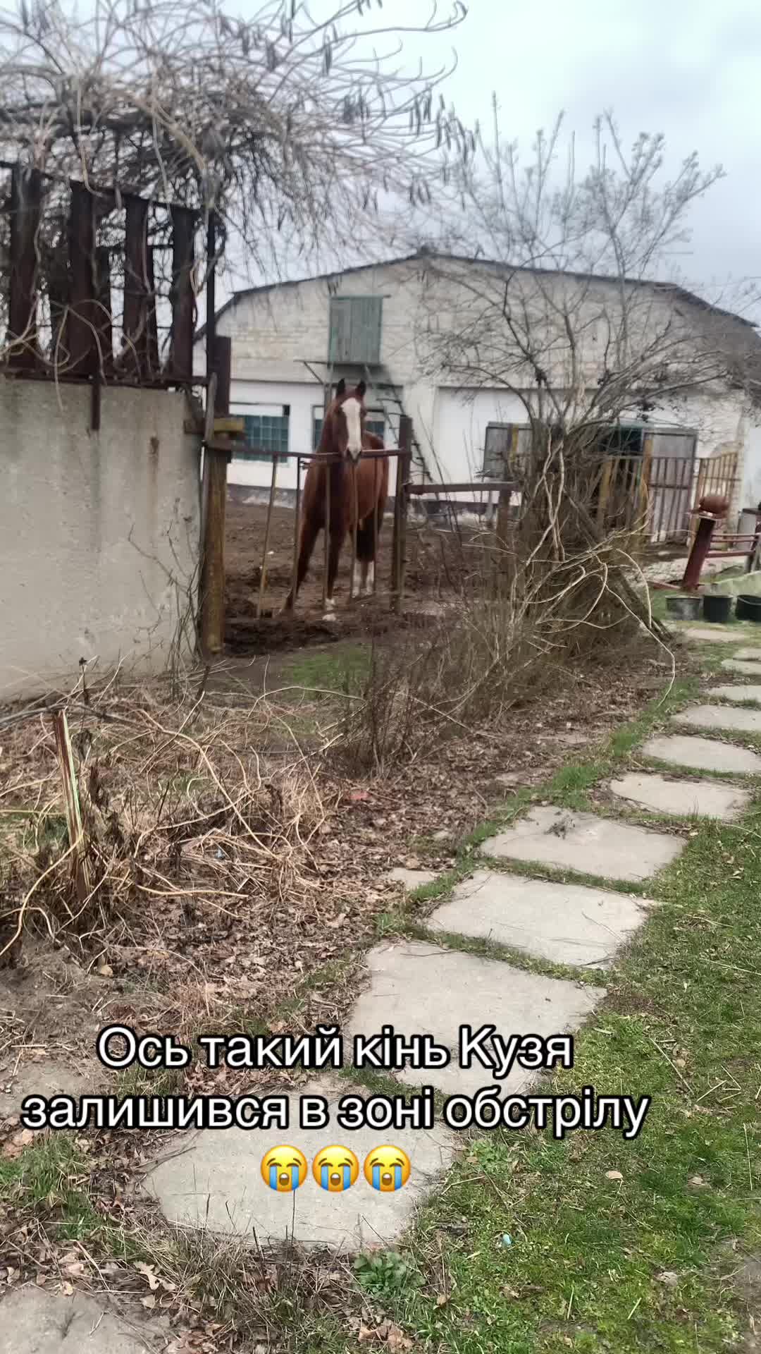 @ukolovanastyusha7777