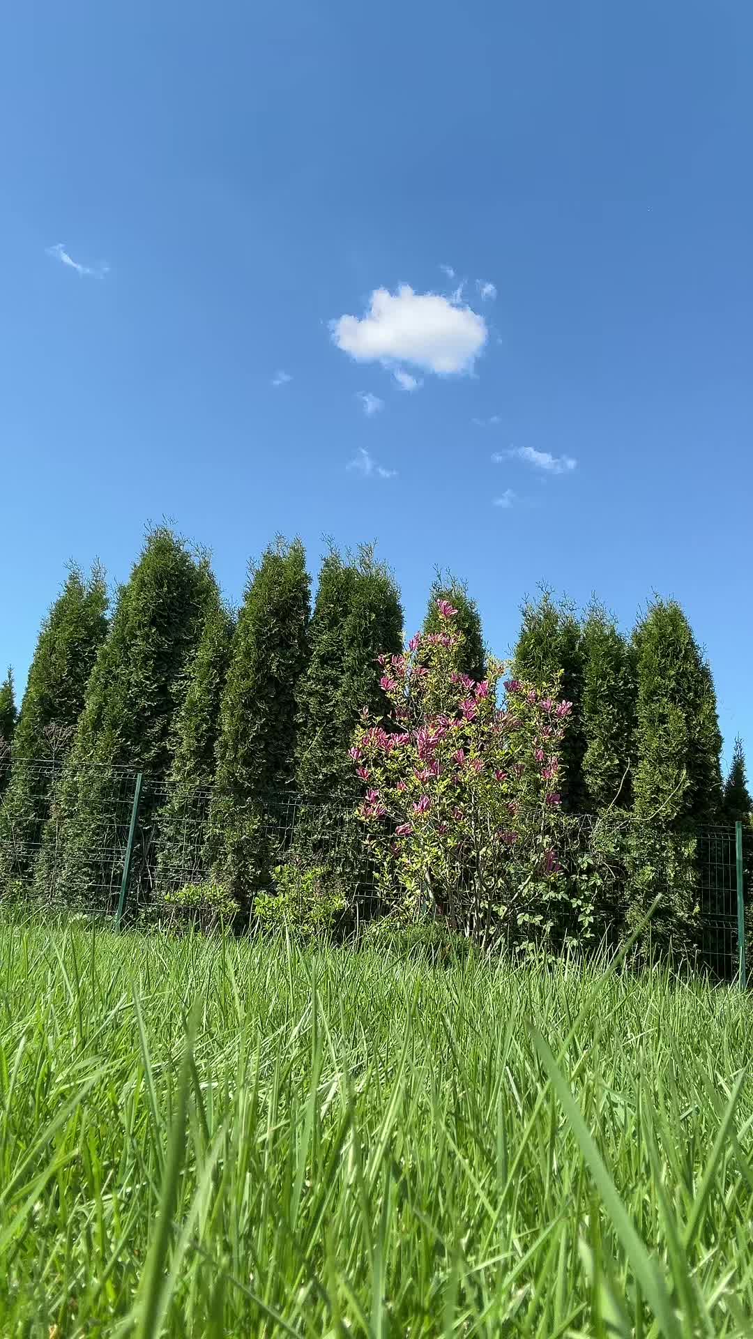 @nastiniLubi