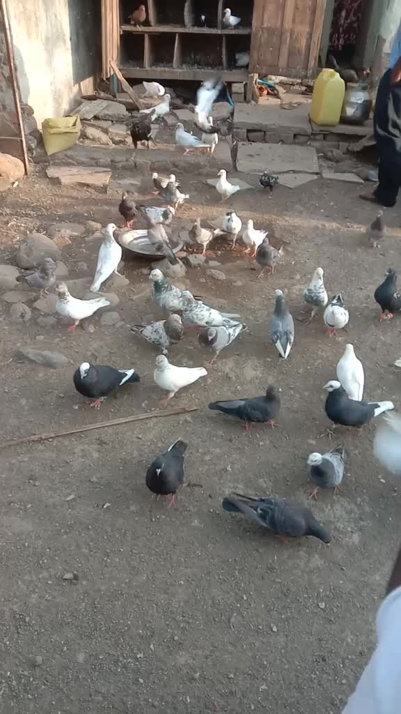 @&Agrave;rM&auml;&ntilde; kh&aring;&ntilde;