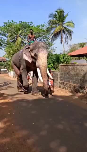 @Manu Chengannur
