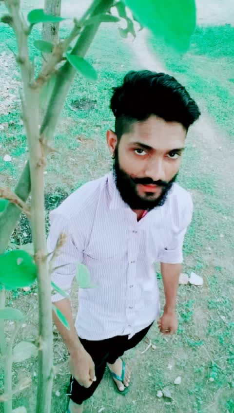 @mP. રાજ પુત