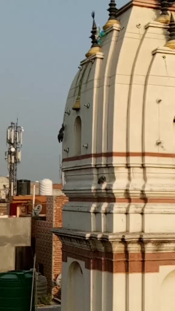@🙋iamrashitanegi02😄