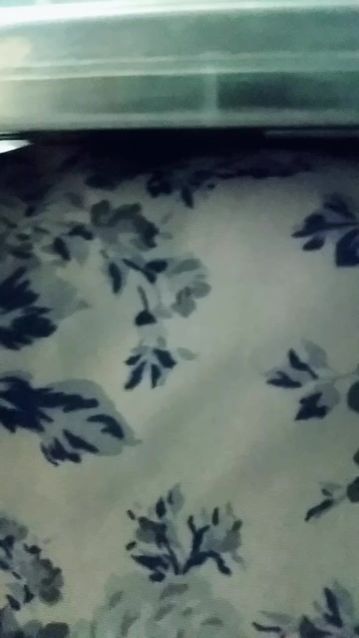 @GACHtv