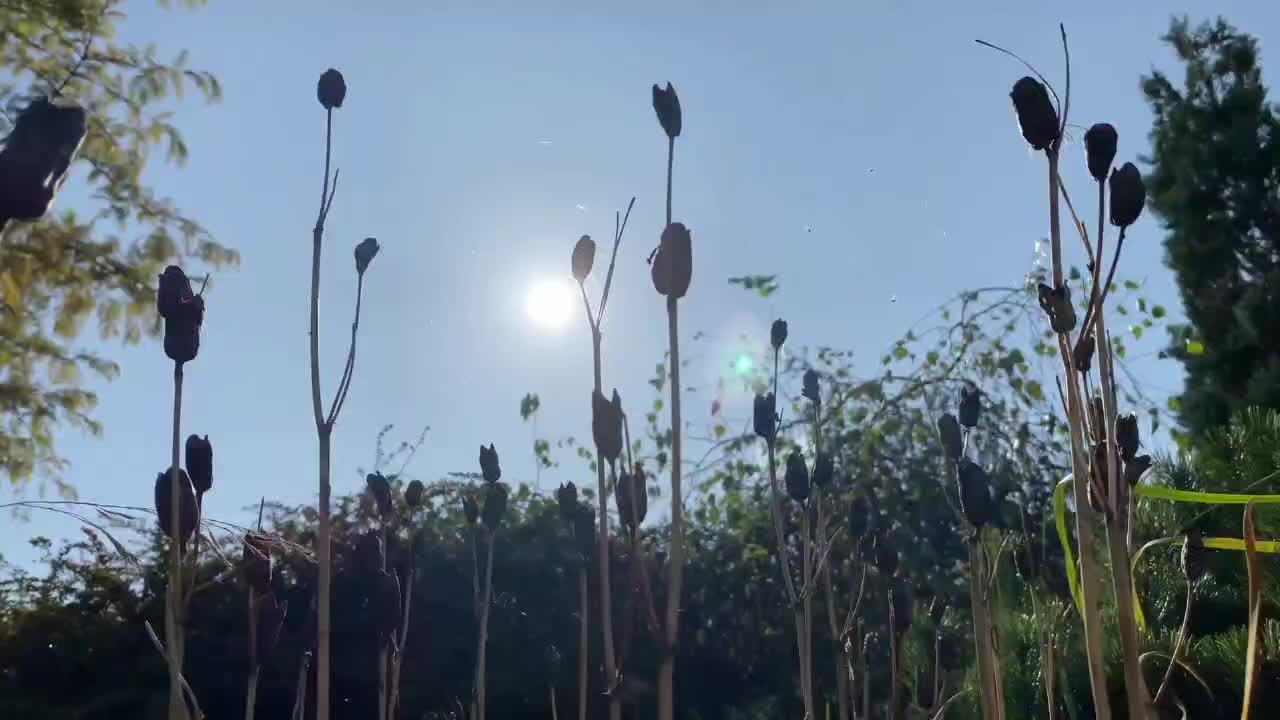 @nature lover 🌿🍃
