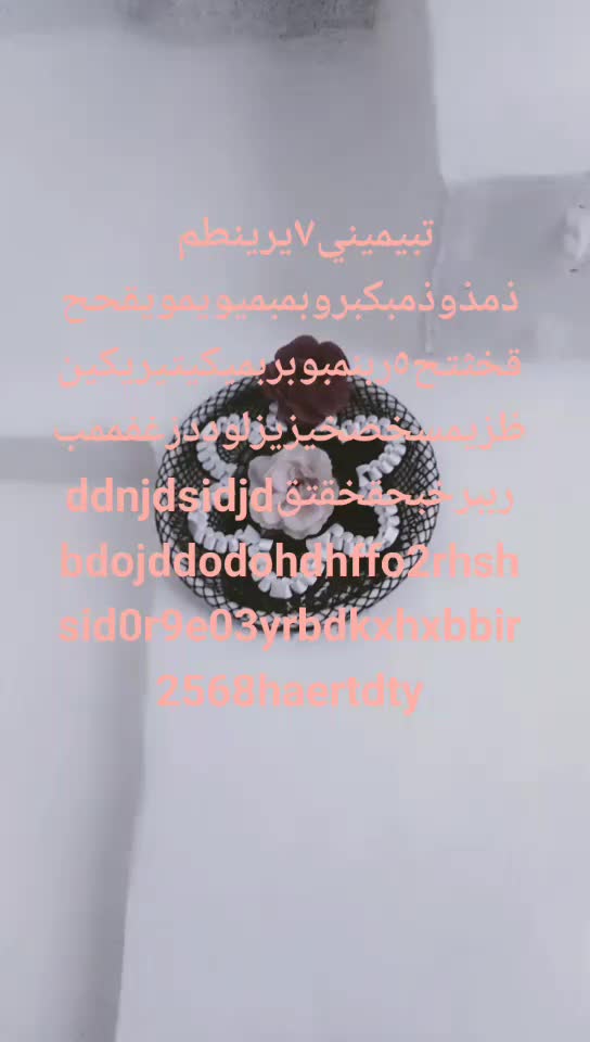 @Hiba Habus