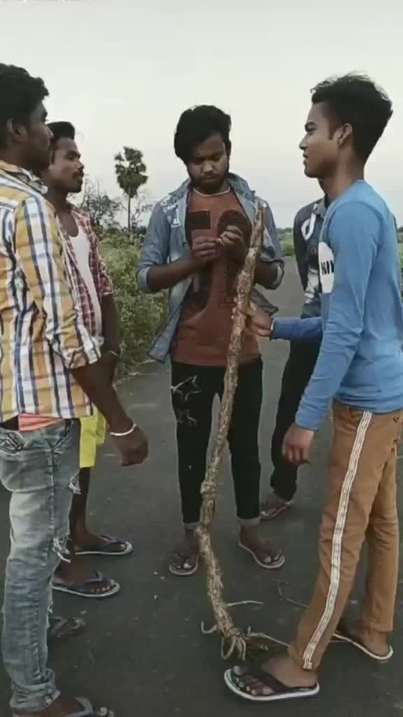 @Bittu 🌈🎻