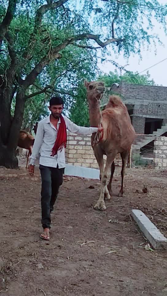 @Sagar Shiyal