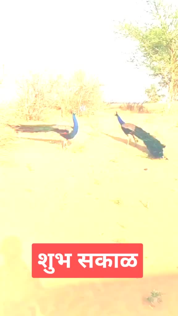@धाराशिवकर उमरगा mh25