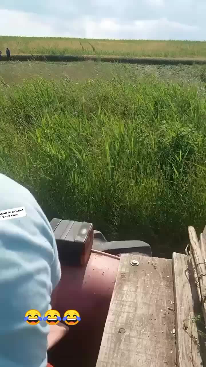 @Gabriel💣🇷🇴