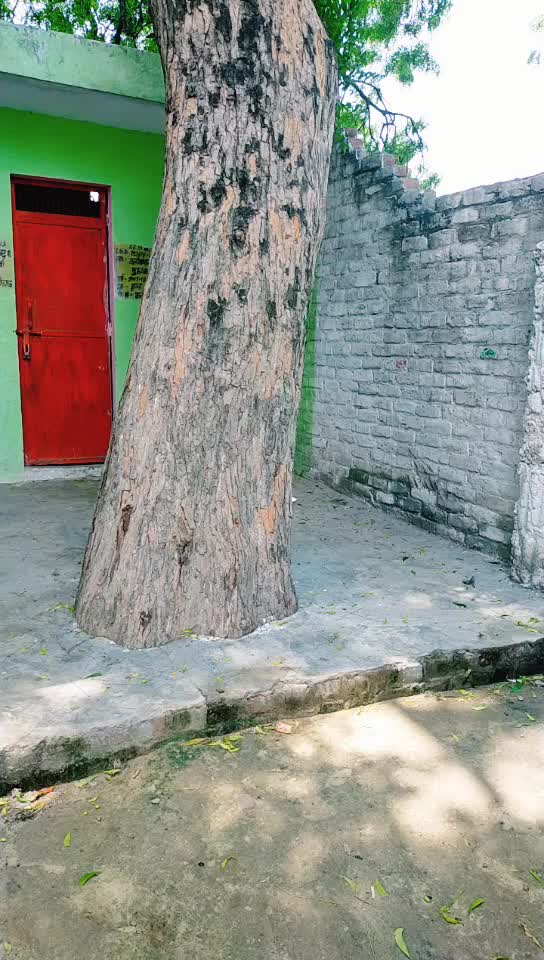 @Afzal Uddin