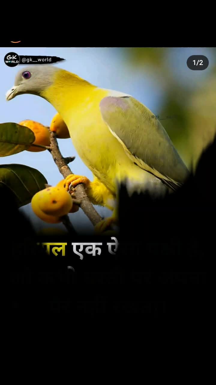 @user01289816848