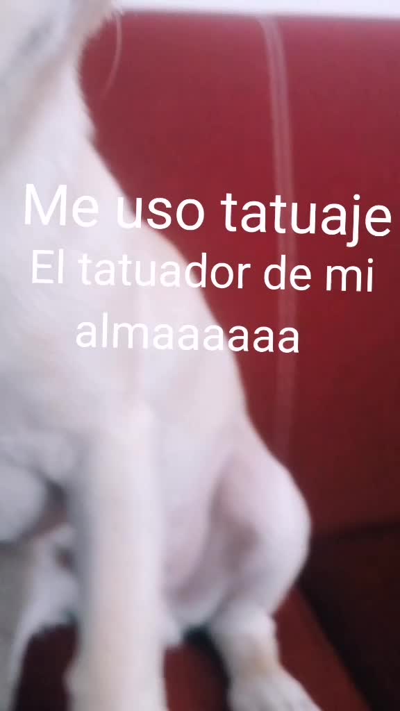@BrissaPereira