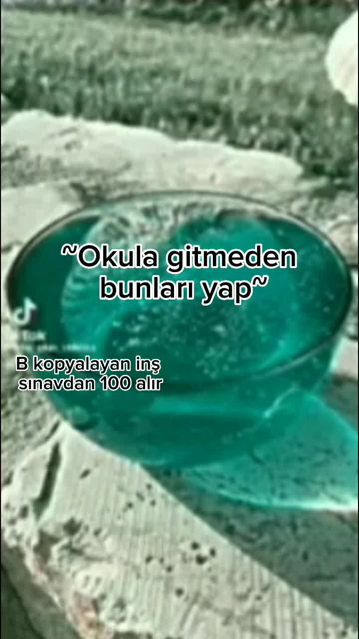 @sh3yl