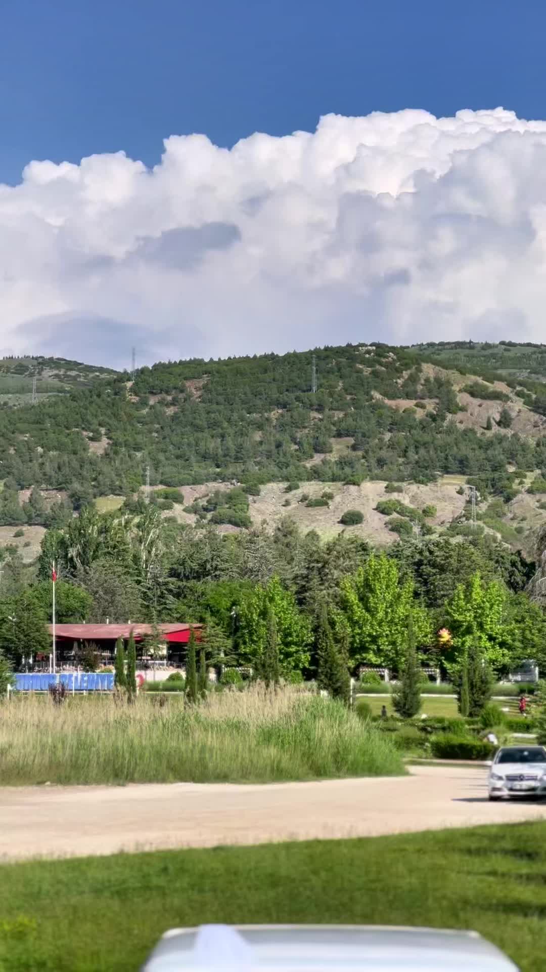 @Osman Özkan 🐅