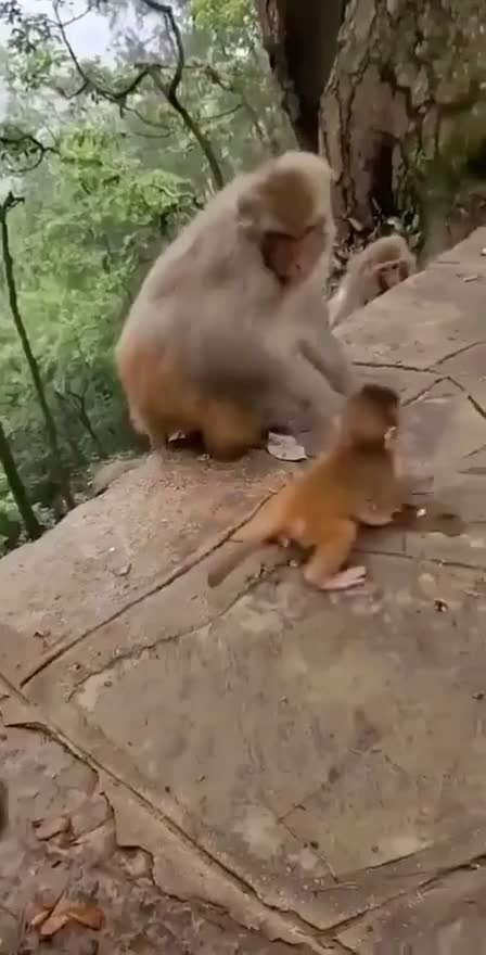@&Ntilde;&scaron;ŁvrR&atilde;jJ&acirc;į&ntilde;