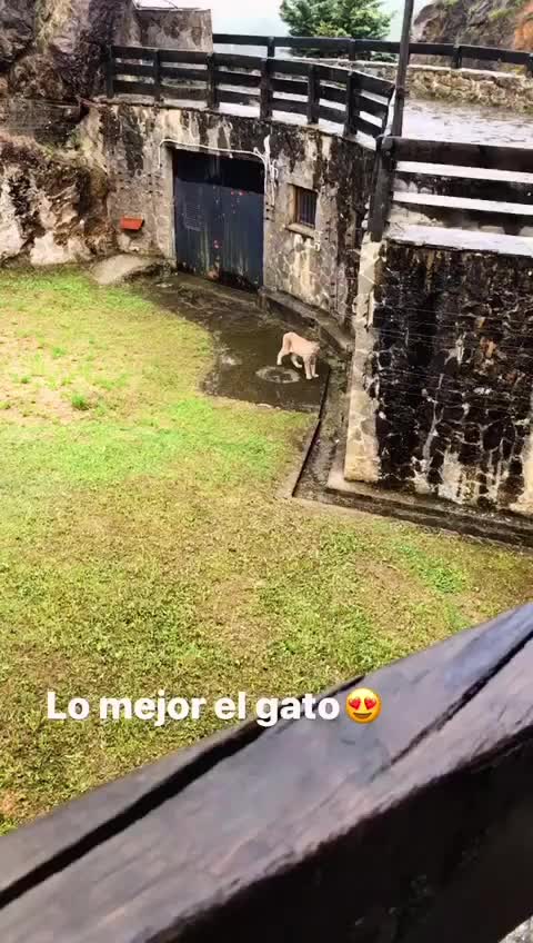 @sonia.rl04