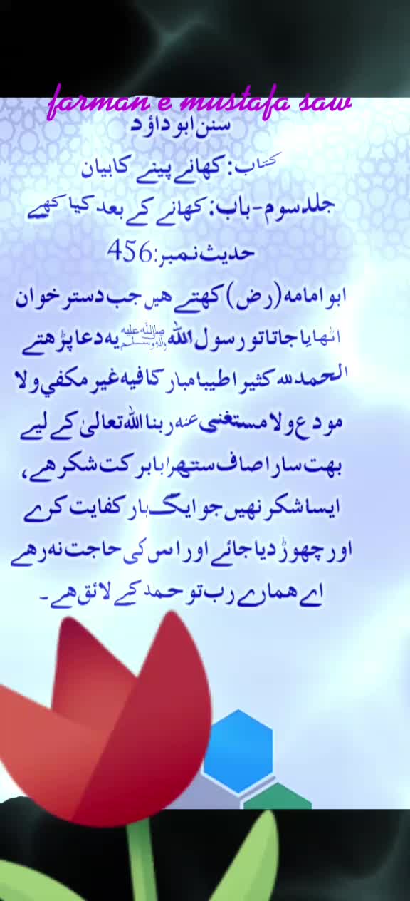 @Max Info