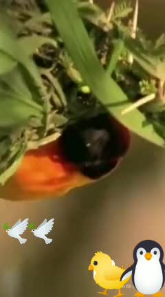 @user2626869241709