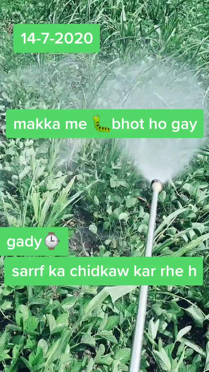 @PaTeL TaHiR
