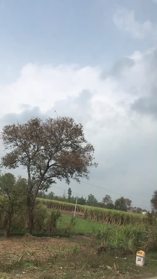 @Ankita Nautiyal