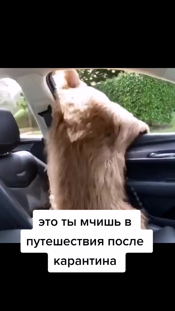 @Мир наизнанку
