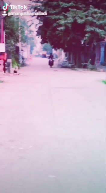 @manjusha MALLADI